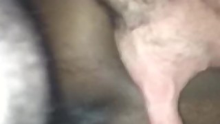 Ebony wife loves white cock
